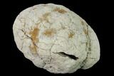 Keokuk Quartz Geode with Pyrite Crystals - Iowa #144742-1
